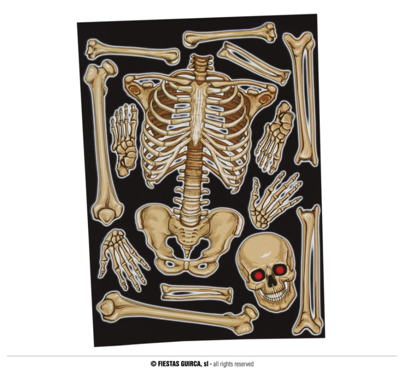 Doplňky dle zaměření - Fiestas Guirca Dekorace na sklo - skeleton 30 x 40 cm