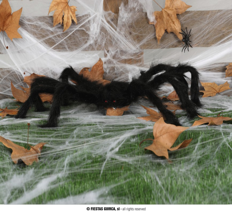 Doplňky na karneval - Fiestas Guirca Chlupatý černý pavouk 60 cm