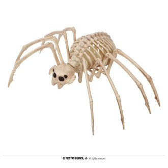 Fiestas Guirca Kostra tarantuly 35 x 20 cm