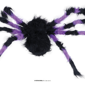 Fiestas Guirca Fialovo-černý pavouk