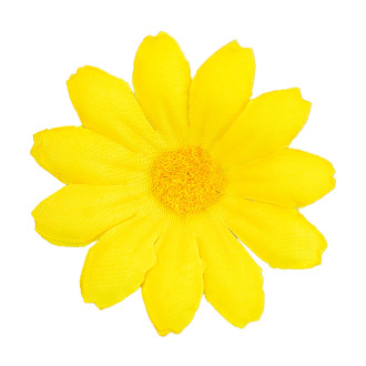 Widmann Sad 20 ks dekorativních žlutých květů