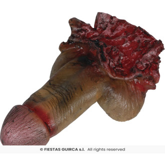 Amputovaný penis